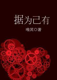 据为己有封面