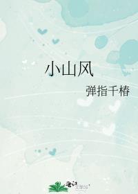 小山风封面