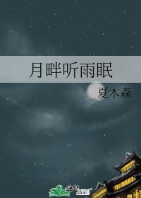 月畔听雨眠封面