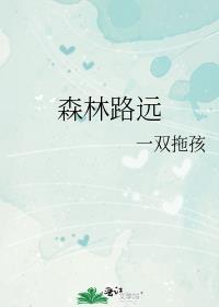 森林路远封面