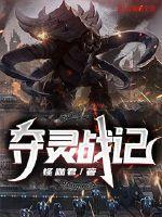 夺灵战记封面