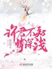 许君不知情深浅封面