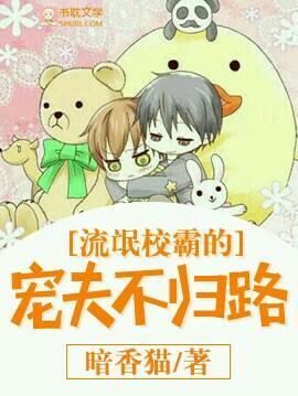 流氓校霸的宠夫不归路封面
