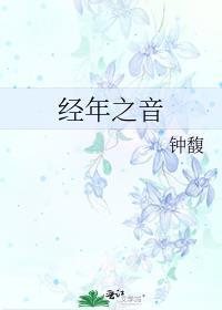 经年之音封面