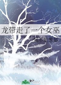 龙带走了一个女巫封面