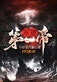 万道第一帝封面