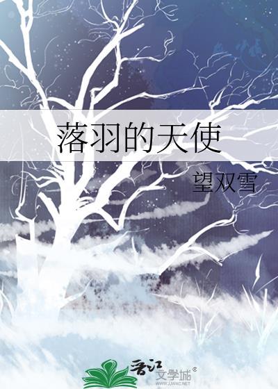 落羽的天使封面