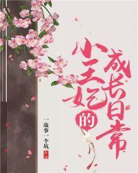 小王妃又挨揍啦封面