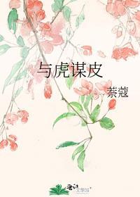 与虎谋皮封面