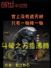 穿越成剑斗罗的儿子封面