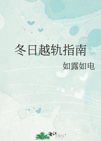 冬日越轨指南封面