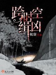 跨时空缉凶封面