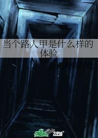当个路人甲是什么样的体验封面