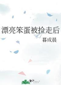 漂亮笨蛋被捡走后封面