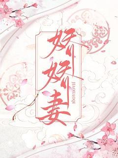 娇娇妻封面