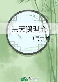 黑天鹅理论封面