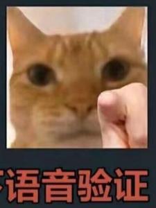 AI文抄？全抄错了！封面