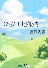 35岁工地搬砖封面