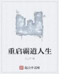 重启霸道人生封面