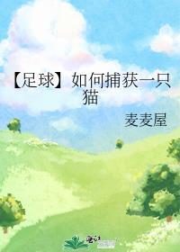 【足球】如何捕获一只猫封面