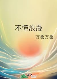 不懂浪漫封面
