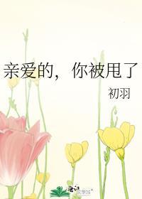 亲爱的,你被甩了封面