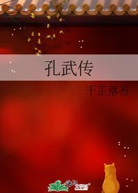 孔武传封面