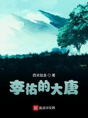 李佑的大唐封面