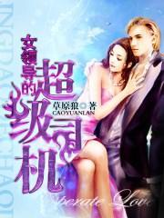 女领导的超级司机封面