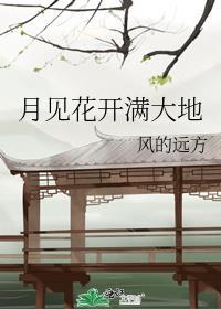 月见花开满大地封面