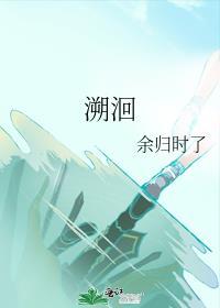 溯洄封面