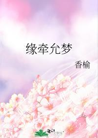 缘牵允梦封面