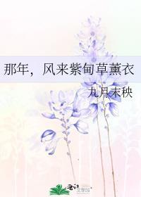 那年,风来紫甸草熏衣封面