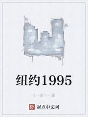 纽约1995封面