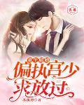 重生暖婚：偏执宫少求放过封面