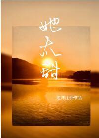 她太甜封面