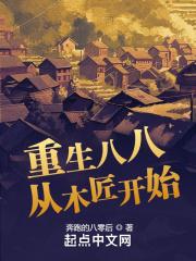 重生八八从木匠开始封面