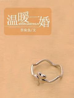 温暖一婚封面