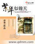 繁华似锦天封面