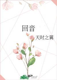 回音封面