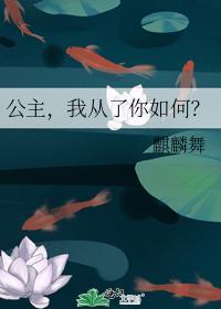 公主，我从了你如何？封面