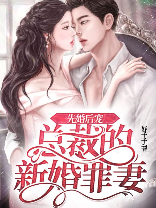 王铁柱苏小汐封面