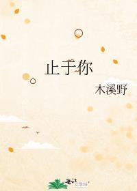 止于你封面