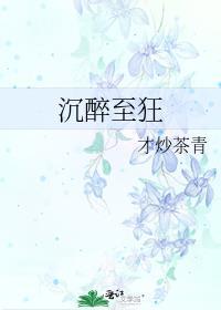 沈醉至狂封面