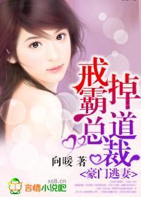 豪门逃妻,戒掉霸道总裁封面