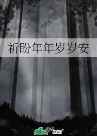 祈盼年年岁岁安封面