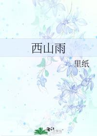 西山雨封面