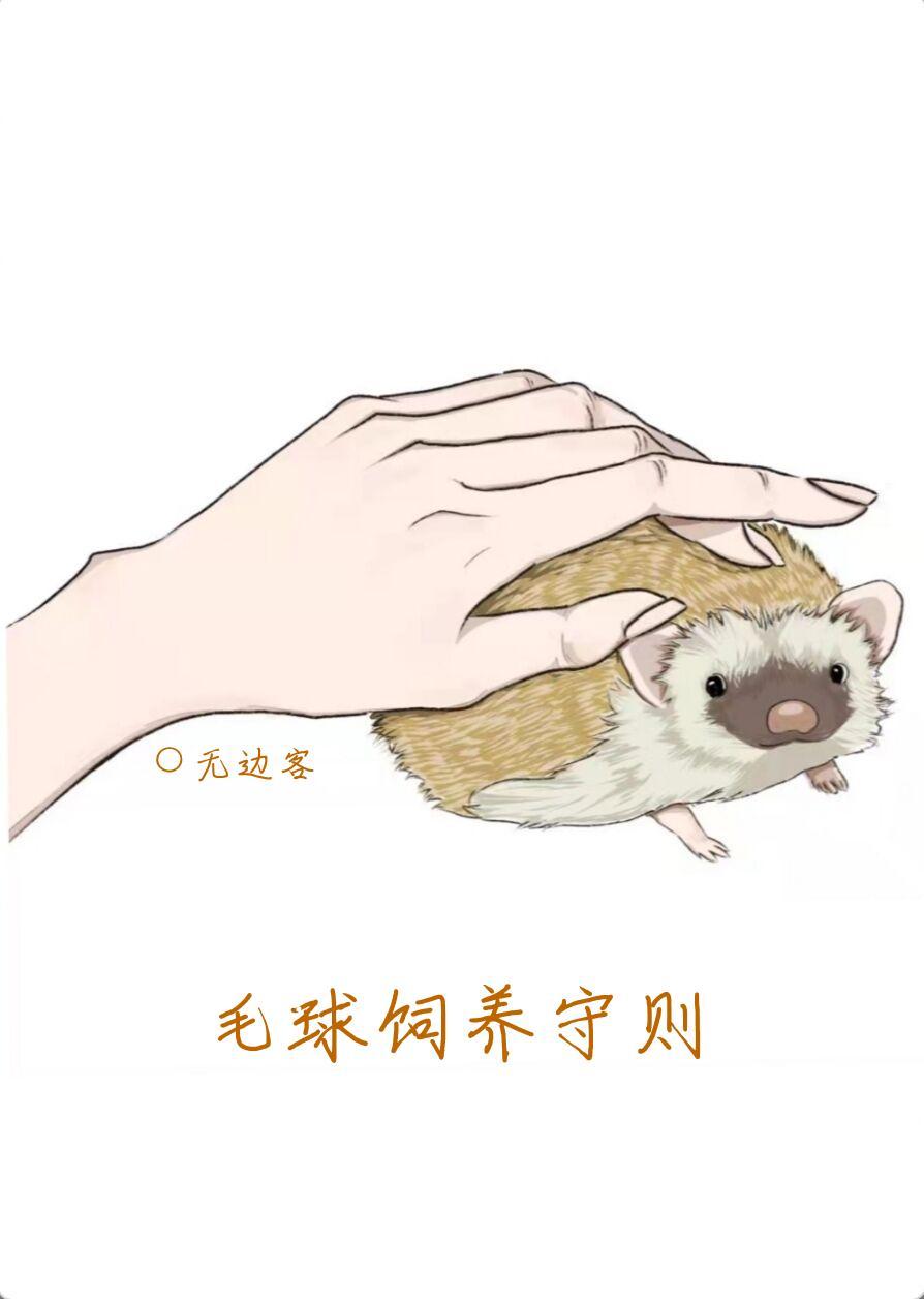 毛球饲养守则封面
