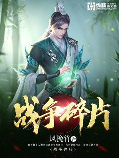 战争碎片封面