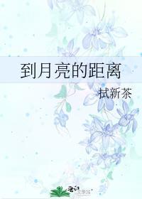 到月亮的距离封面